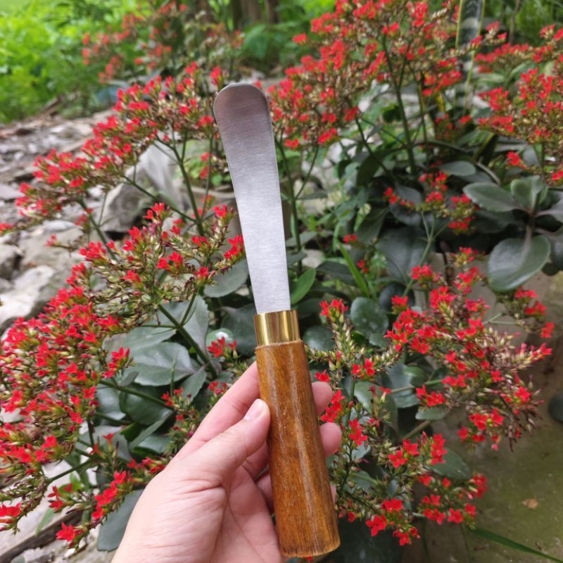 Dao lấy cơm dừa, nạo cùi dừa thép trắng không rỉ