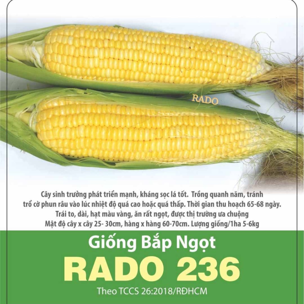 Hạt giống Bắp Mỹ RADO cao cấp, chắc hạt, trái to, năng suất cao