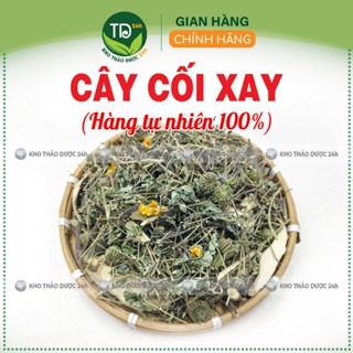 [01 kg] Cây cối xay khô, sạch, xanh, thơm, dễ uống, tốt cho xương khớp, trĩ nội, ngoại, ù tai, điếc tai, lợi tiểu