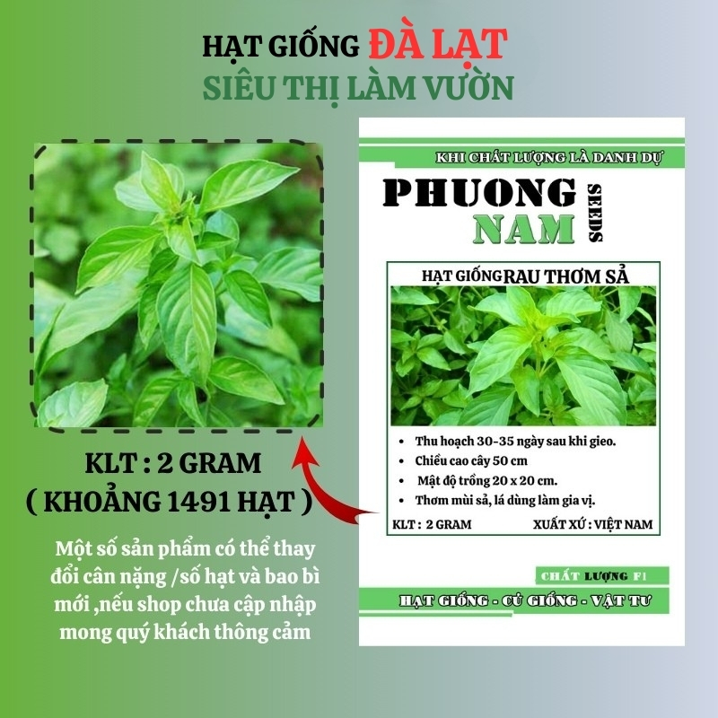 2GR - HẠT GIỐNG HÚNG TRẮNG ( RAU THƠM SẢ) ĐÀ LẠT