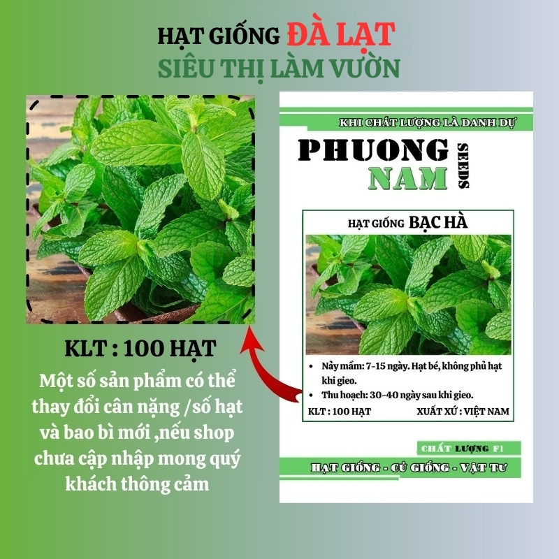 100H - Hạt Giống Rau Bạc Hà Mint Đuổi Muỗi