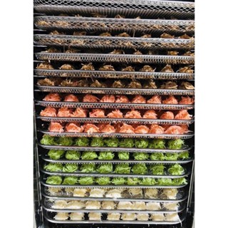 Máy sấy thực phẩm - 16 khay Septree Hàng Chính Hãng -Bảo hành 12 tháng-Máy sấy hoa quả