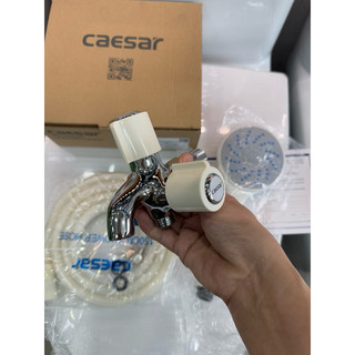 Củ sen tắm lạnh CAESAR W038C cao cấp - hàng chính hãng