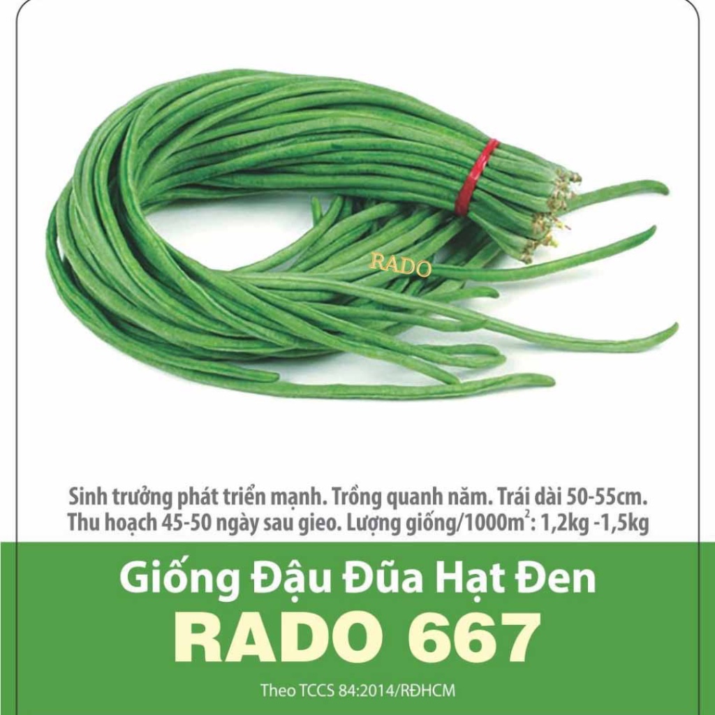 Hạt giống Đậu Đũa Siêu Dài RADO cao cấp, trái ngon ngọt, năng suất cao