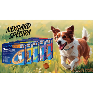 1 viên( không hộp) NEXGARD SPECTRA- viên nhai cho chó bị ve, rận, bọ chét, ghẻ DEMODEX, tẩy giun sán, ngừa giun tim