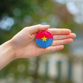 Huy hiệu, Ghim cài áo cờ mặt trận giải phóng dân tộc, giải phóng miền Nam 30-4
