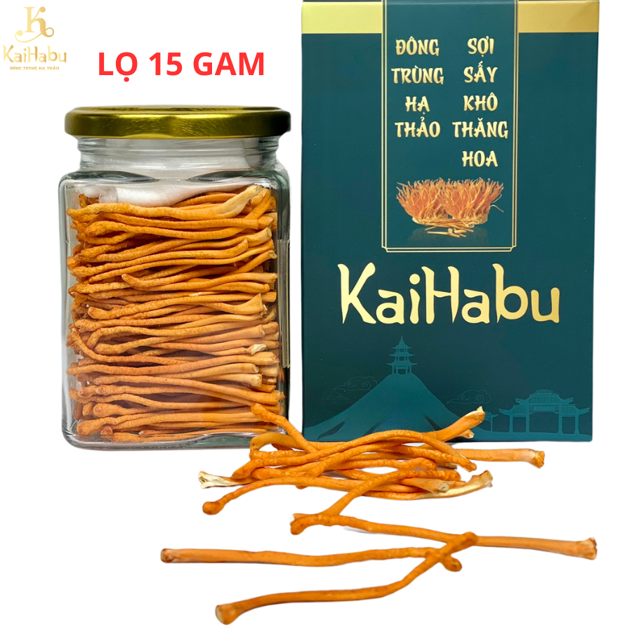 Lọ 15 gam VIP2 - Đông trùng hạ thảo sợi sấy khô thăng hoa KaiHabu