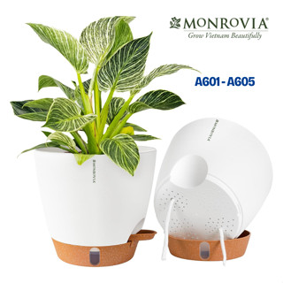 Combo chậu tự tưới thông minh Monrovia A60 cho hoa, cây cảnh, trong nhà, ban công, để bàn