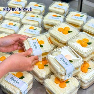 100 Hộp Nhựa Vuông Đựng Bánh Tiramisu, Bánh Lạnh, Mousse, Panna Cotta Khúc Bạch Vải Hot Trend 400ml [SX306 hoặc B10-6]