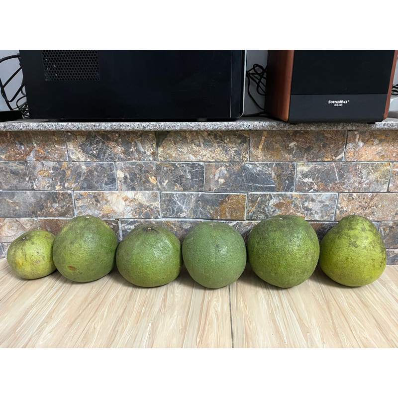 combo 5 trái bưởi đường cam