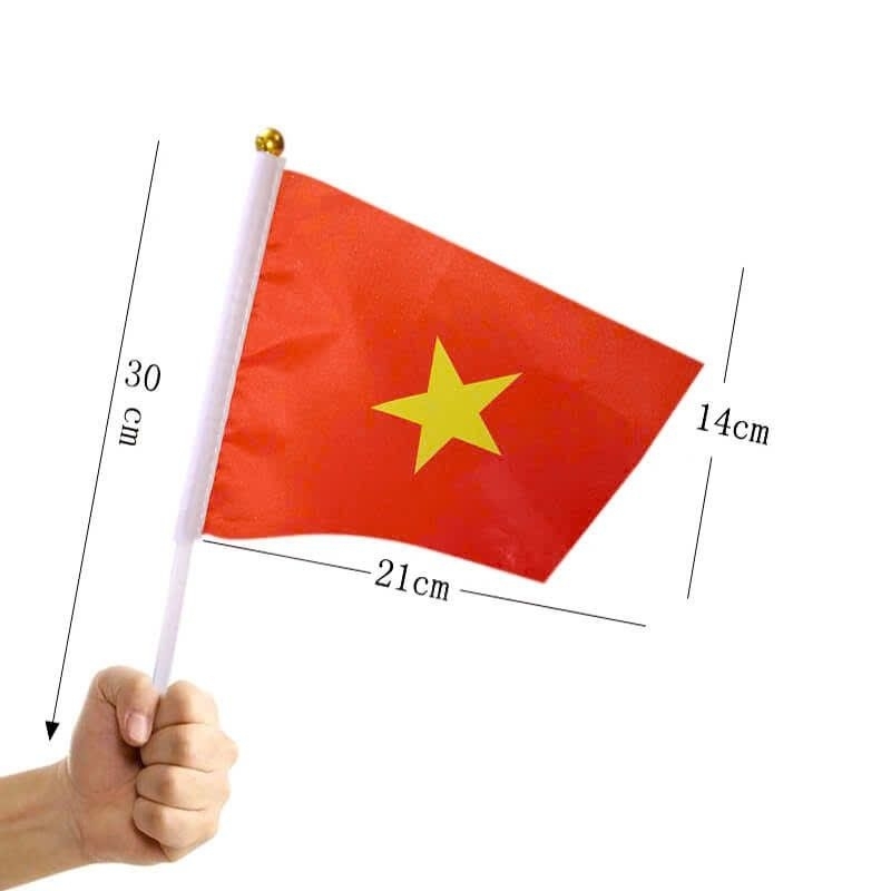 10 lá cờ Việt Nam - Cờ cầm tay Việt Nam