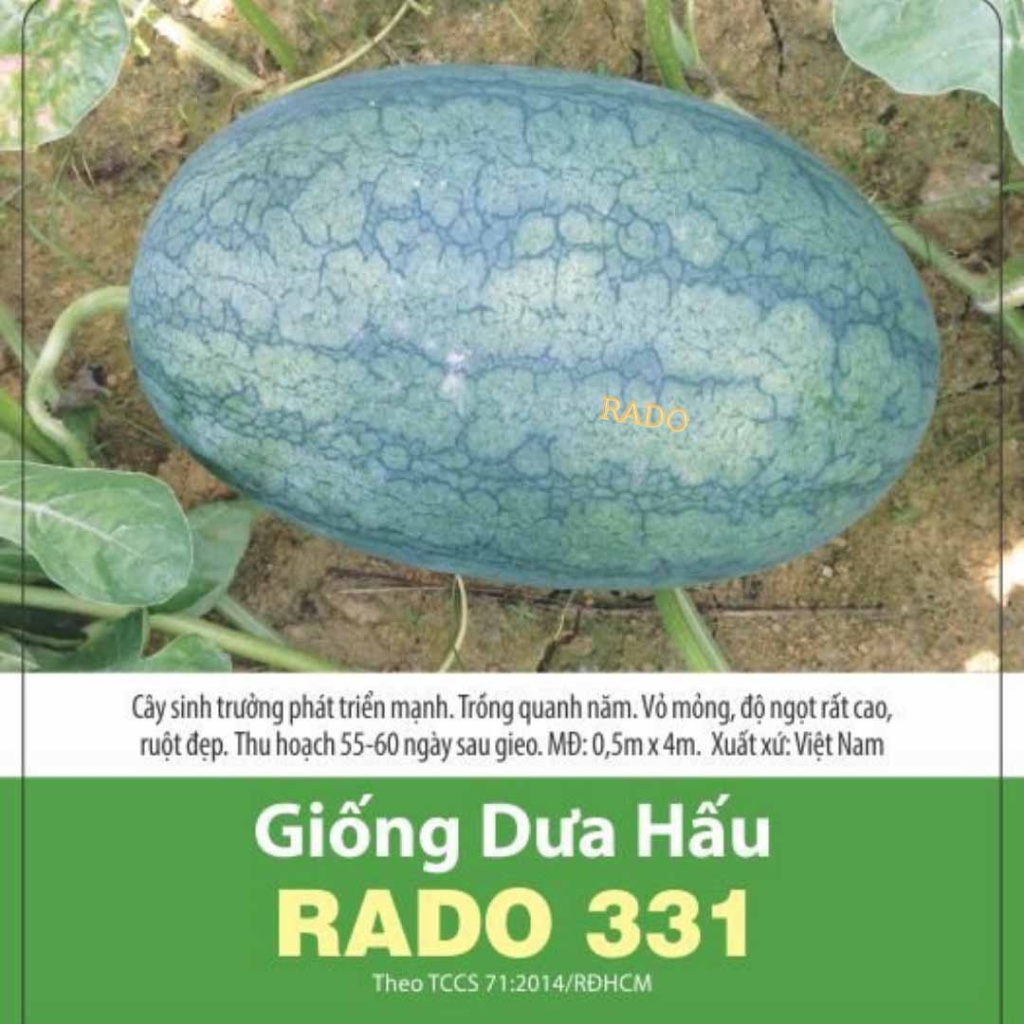 Hạt giống Dưa Hấu RADO cao cấp, vỏ mỏng, thịt ngọt, dễ trồng