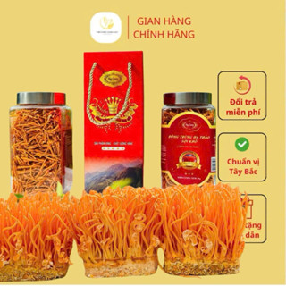 [CHÍNH HÃNG] Đông Trùng Hạ Thảo Huy Cương Chuẩn Chính Hãng Nuôi Cấy Ở Lại Châu