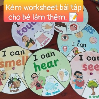 Học liệu tiếng anh, từ vựng tiếng anh, flashcard chủ đề 5 Giác Quan, in màu, ép plastic