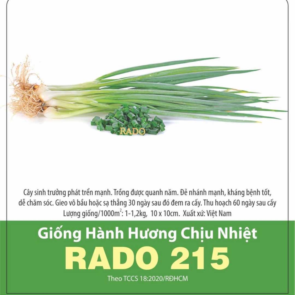 Hạt giống Hành Hương F1 RADO cao cấp, nảy mầm mạnh, năng suất cao