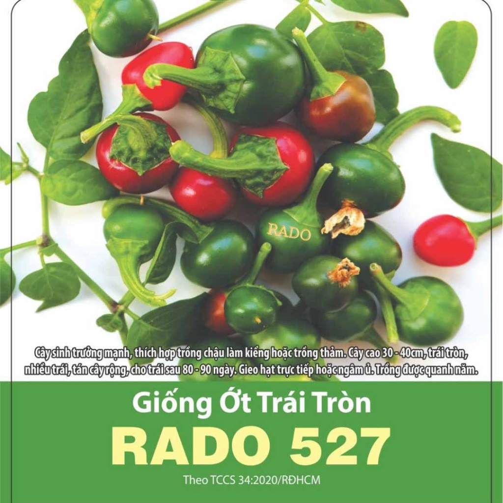 Hạt giống Ớt Trái Tròn hiệu Rạng Đông cao cấp dành cho gia đình