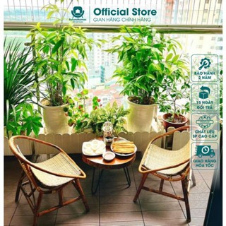 Ghế lười thư giãn mây tre con sò; trang trí sân vườn ban công bàn ghế uống trà / FutureHomes