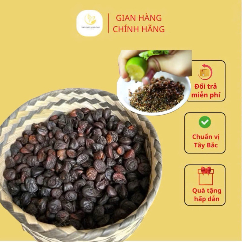 Hạt Dổi Nếp Tây Bắc ( Vàng Đen Của Núi Rừng , Hạt Dổi Nếp Thơm Ngon )