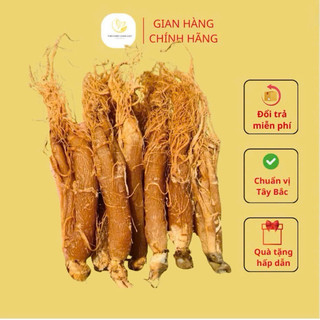 [CHÍNH HÃNG] Hồng Sâm Sấy Dẻo Thơm Chuẩn ( Tây Bắc 99 )