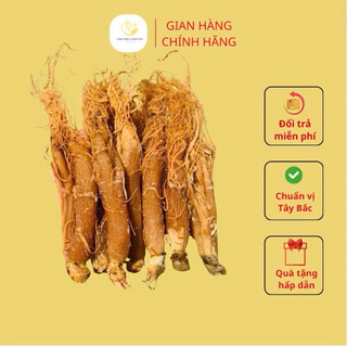 [CHÍNH HÃNG] Hồng Sâm Sấy Dẻo Thơm Chuẩn ( Tây Bắc 99 )