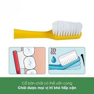 Bàn chải đánh răng mềm Tepe Supreme Soft [dvcareshop]