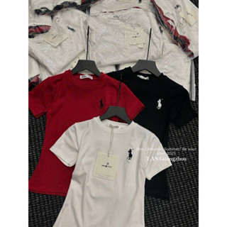 Áo baby tee thêu logo ngựa dưới 55kg TABI STORE cổ tròn vải tici 4c thoáng mát basic