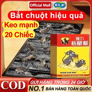 20 MIẾNG Keo Dính Chuột Siêu Dính Bãy Chuột Cống To Lớn - Tấm Keo Bẫy Chuột Bắt Chuột Diệt VIỆT NAM - Keo Dán Chuột