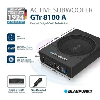 LOA SUB ĐỂ GẦM GHẾ BLAUPUNKT 8100 VỚI THIẾT KẾ NHỎ GỌN NHƯNG ÂM THANH VÔ CÙNG MẠNH MẼ