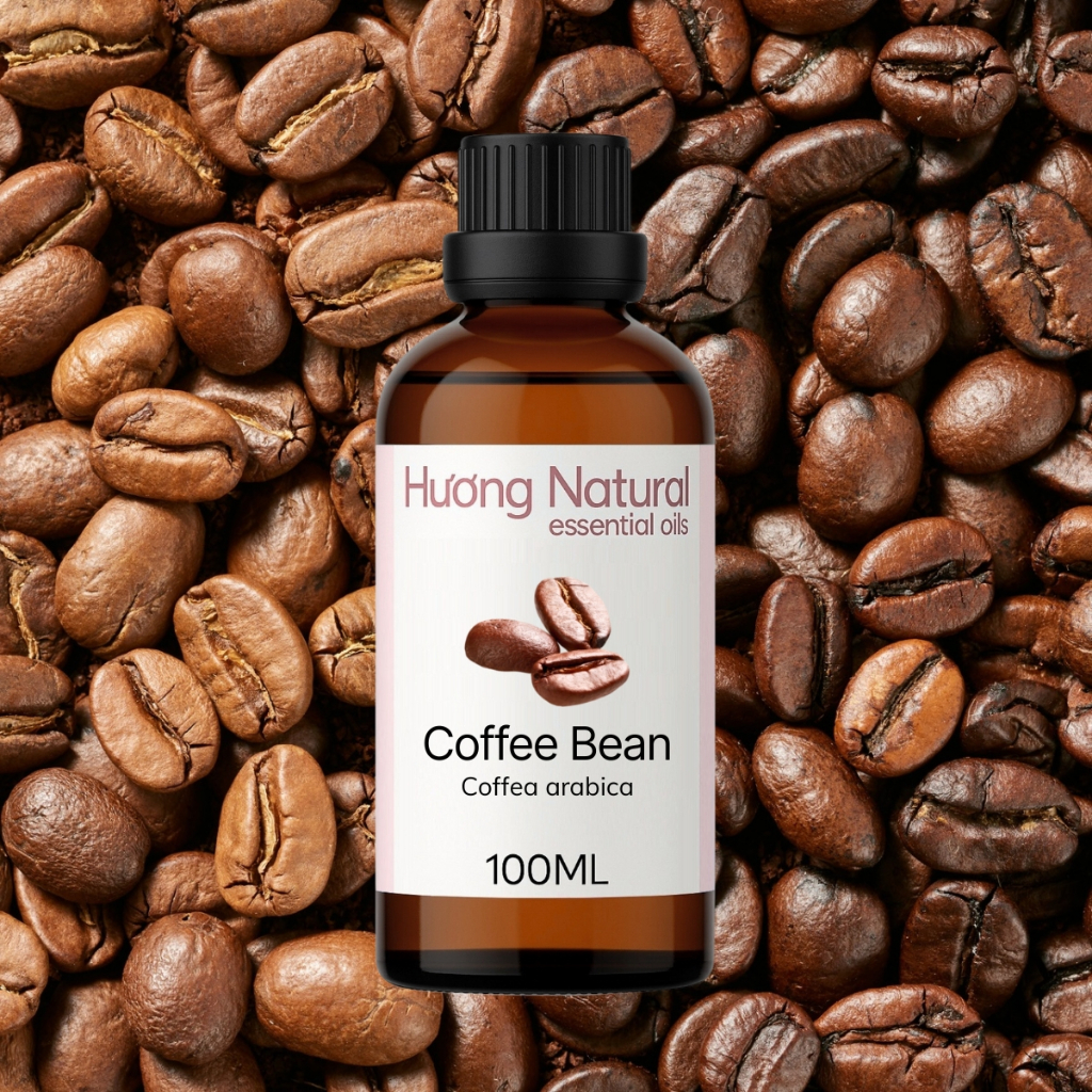 [50/100ML] Tinh dầu hạt cà phê Coffee Bean Essential Oil (Arabica)