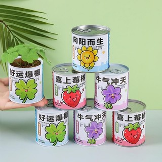 Kit Trồng Hoa Mini Tự Động Nảy Mầm Bằng Hạt Giống Giúp Bé Nghiên Cứu Quá Trình Phát Triển Đồ Chơi Stem