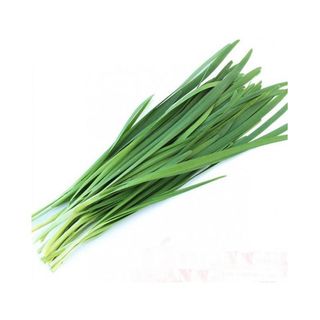 Hạt Giống Hẹ Tây Dễ Trồng Quanh Năm, Sinh Trưởng Khỏe (Gói 1 gam ~ 200 hạt)