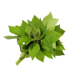 Hạt Giống Rau Kinh Giới Lâu Năm Dễ Trồng, Nhanh Thu Hoạch (Gói 1 gam ~ 1800 hạt)