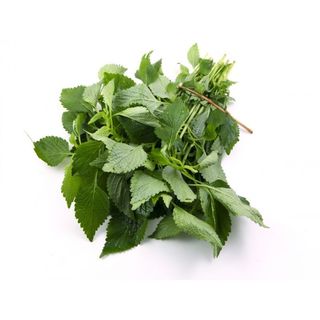 Hạt Giống Rau Kinh Giới Lâu Năm Dễ Trồng, Nhanh Thu Hoạch (Gói 1 gam ~ 1800 hạt)