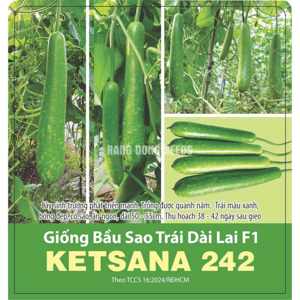 Hạt giống Bầu Sao Trái Dài Lai F1 RADO cao cấp dành cho gia đình, năng suất cao, trái ngon ngọt