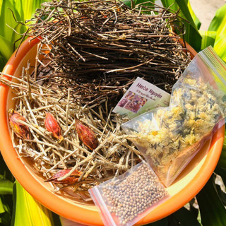 🌼Sâm bông cúc rễ tranh. 7 vị. 🍃1 phần nấu 7-10L🌼
