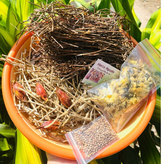 🌼Sâm bông cúc rễ tranh. 7 vị. 🍃1 phần nấu 7-10L🌼