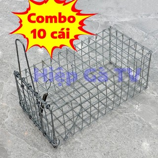 Combo 10 Bẫy Chuột Cống Nhum 10x12x24cm Có Khoen Chống Sẩy