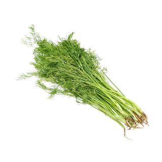 Hạt Giống Rau Thì Là Chịu Nhiệt, Dễ Trồng Quanh Năm