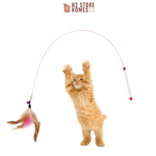 Đồ chơi cần câu mèo dây thép gắn lông vũ loại dài - Đồ chơi cho mèo - H2 Store