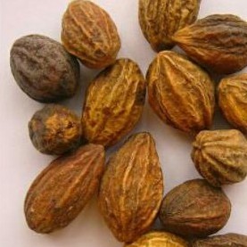 500GR KHA TỬ KHÔ THƠM NGON