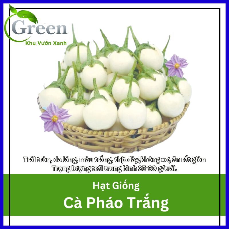 Hạt Giống Cà Pháo Trắng Năng Suất Cao