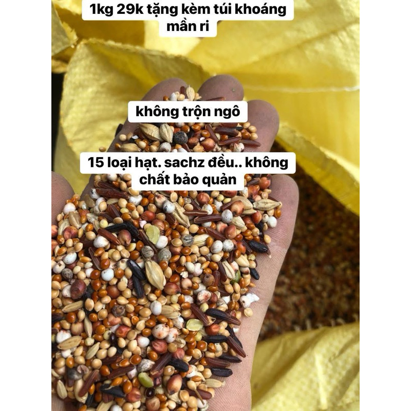 1kg hạt trộn cho cu gáy,ngũ cốc chim cu gáy,thức an chim cu gay. hạt kê cho chim cu gáy