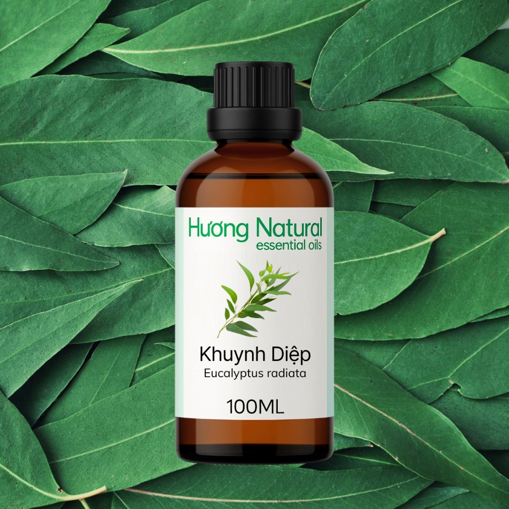 [100ML] Tinh dầu Khuynh diệp Eucalyptus Radiata Essential Oil