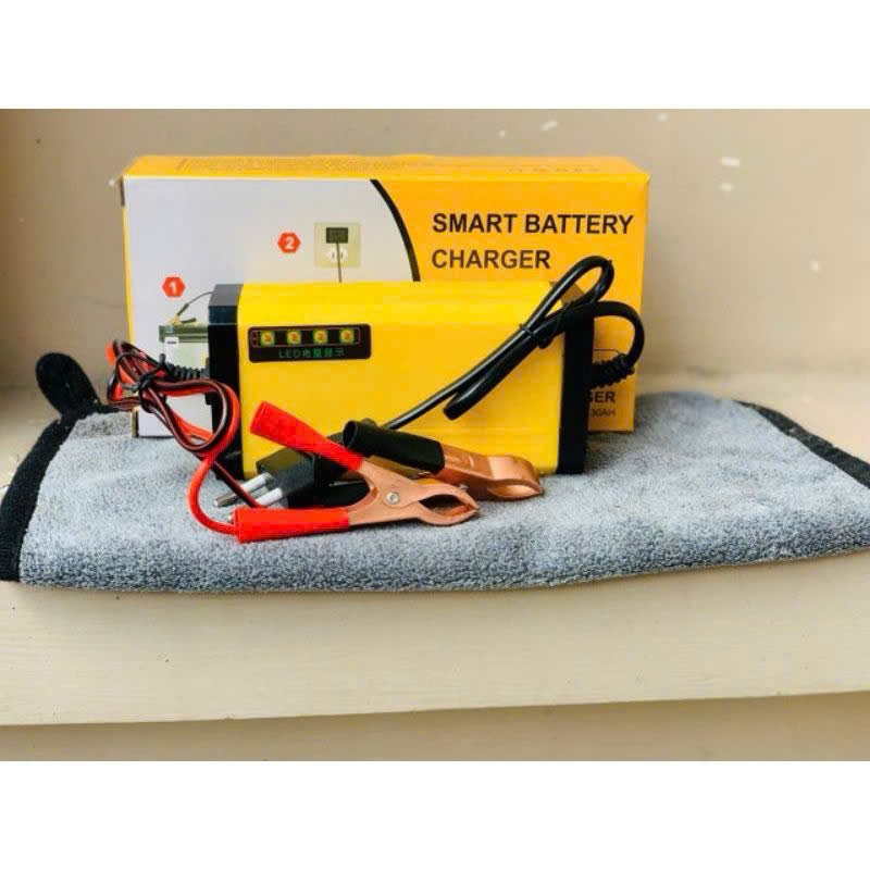 Sạc Bình Ắc Quy Xe Máy, Loa Kẹo Kéo 12V 30Ah - Sạc Chuyên Dụng Cho Acquy