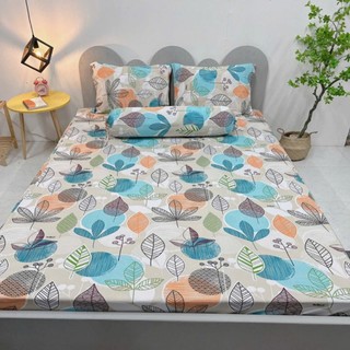 Bộ drap 4 món thun lạnh Hàn quốc mẫu mới nhất