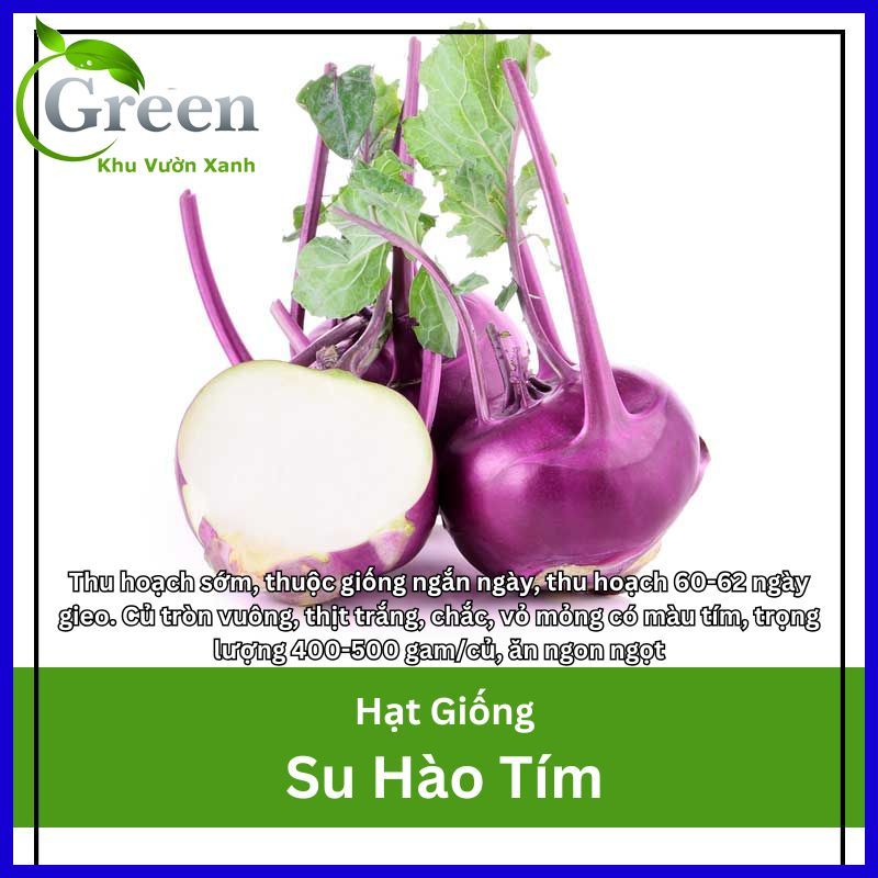 Hạt Giống Củ Su Hào Tím Ngắn Ngày, Thu Hoạch Sớm