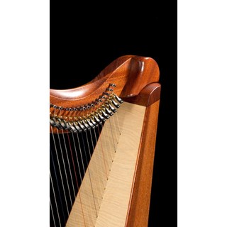 Đàn hạc 19 dây gỗ GỤ Mahogany tặng túi và cây chỉnh dây khăn lau tab dây dự phòng Miếng rửa chén sợi cước 3M Scot ENG120