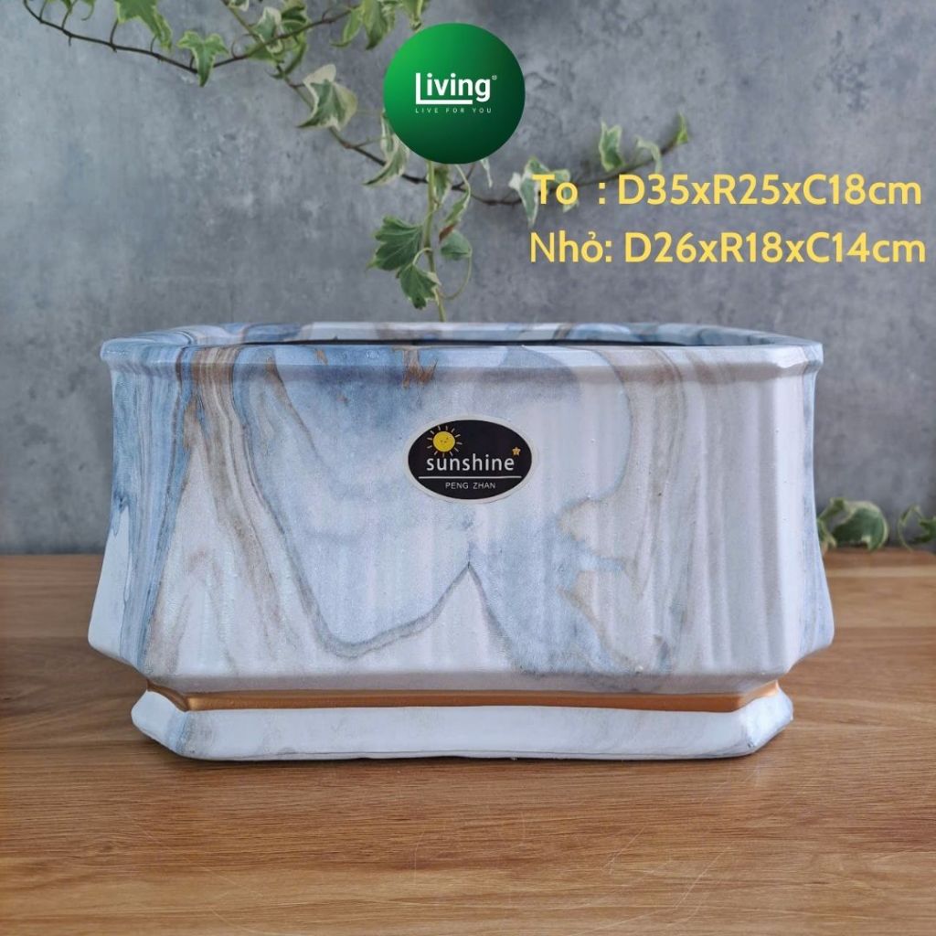 Chậu chữ nhật vân đá gốm sứ dày dặn, Chậu trồng cây, bonsai, chậu để bàn cao cấp sang trọng | Living