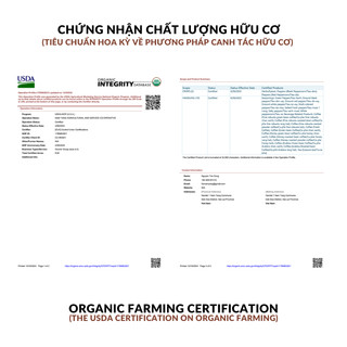 Cà phê Blend Robusta + Arabica XÌ PHỐ CAFE pha phin, pha máy, rang mộc, đậm vị, cà phê đặc sản