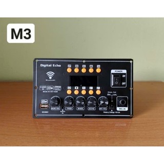 Bộ echo+ C/suất DSP loa kéo